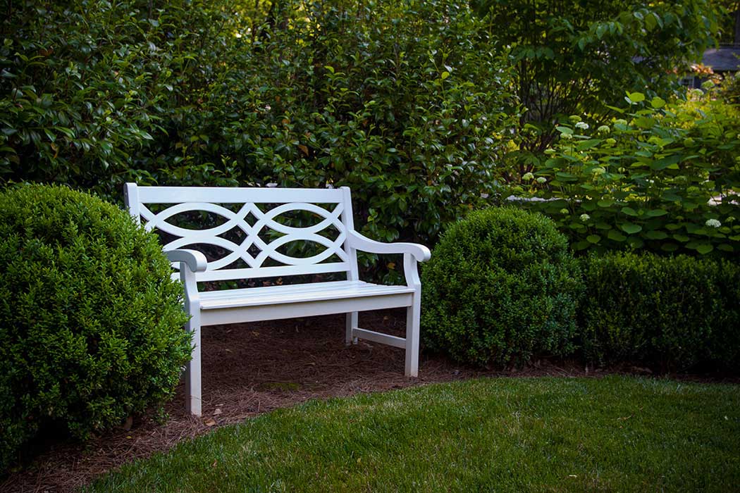 Bench on Cape Cod