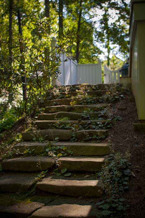 Stone Steps in the Morning