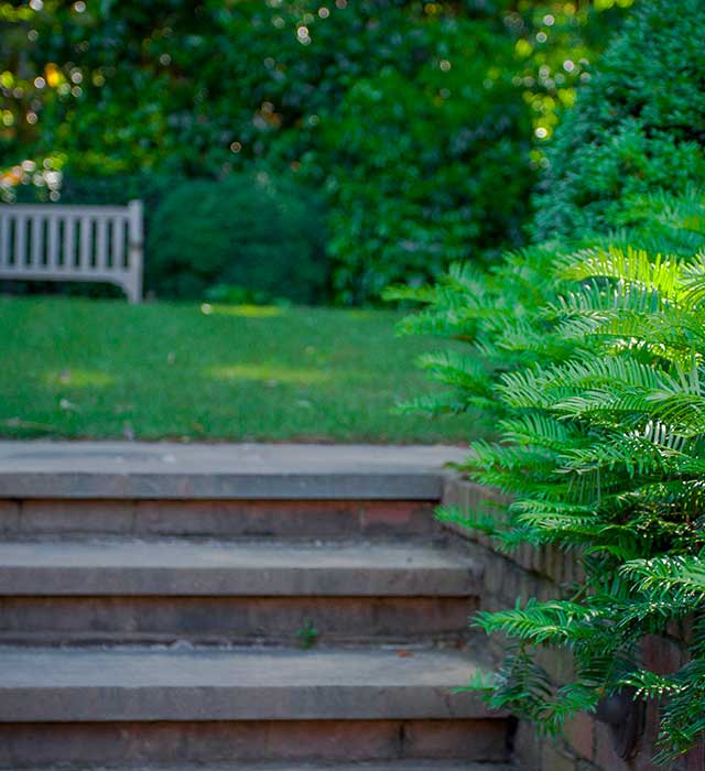 Slate Stone steps and courtyard