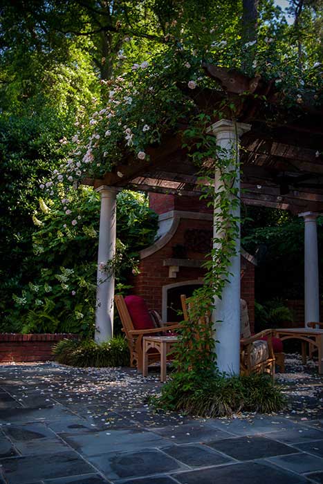 Perfect Rose Pergola in Buckhead