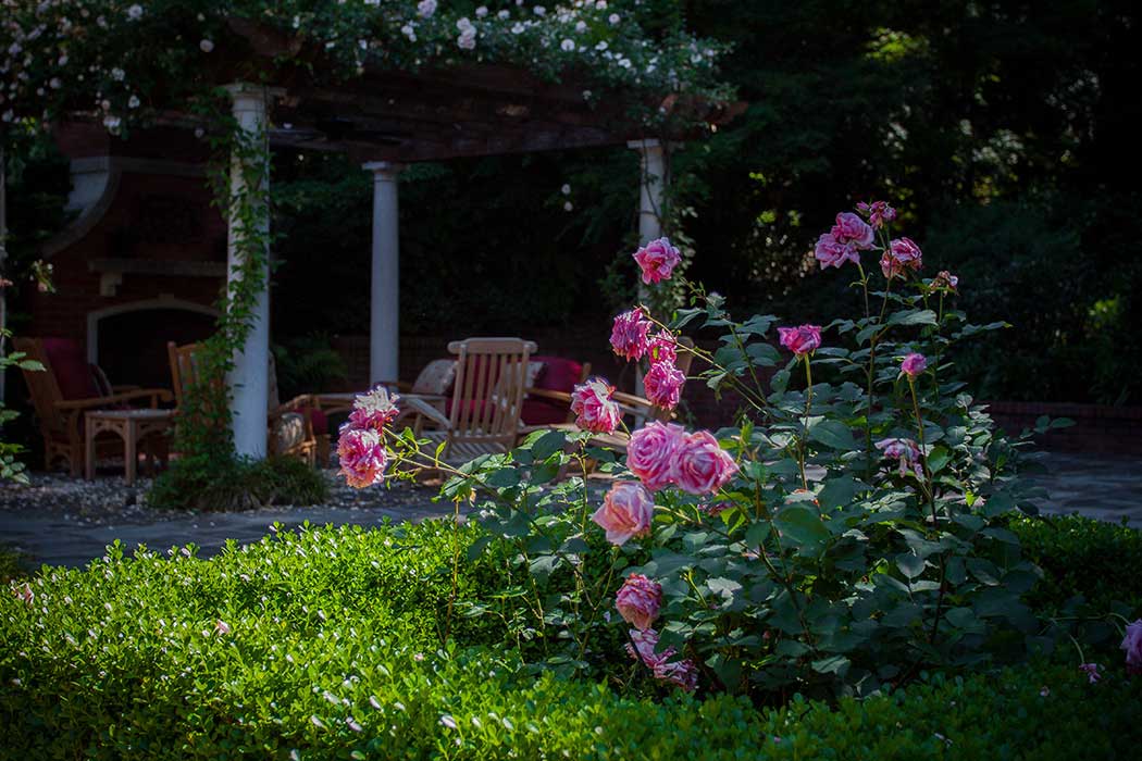 Rose Pergola and stone terrace for entertaining