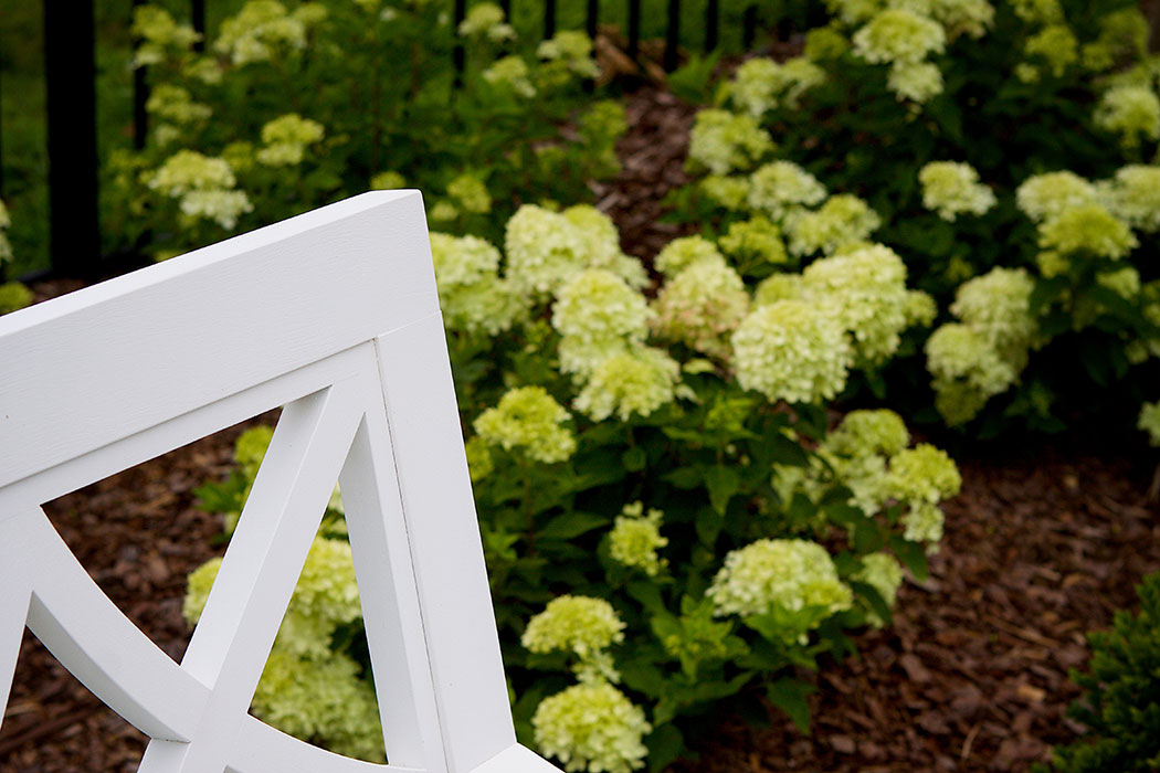 Garden Bench