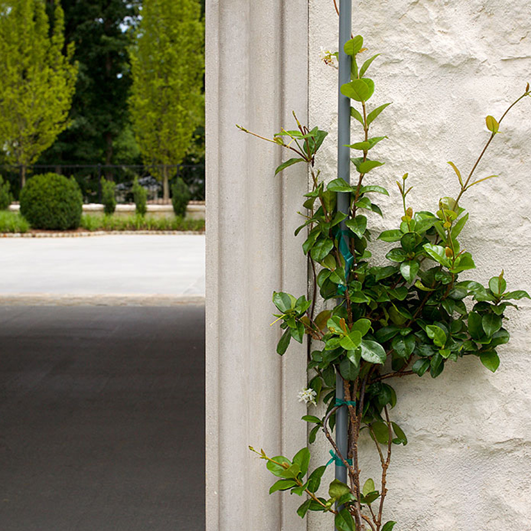 Vines in Garage Tunnel