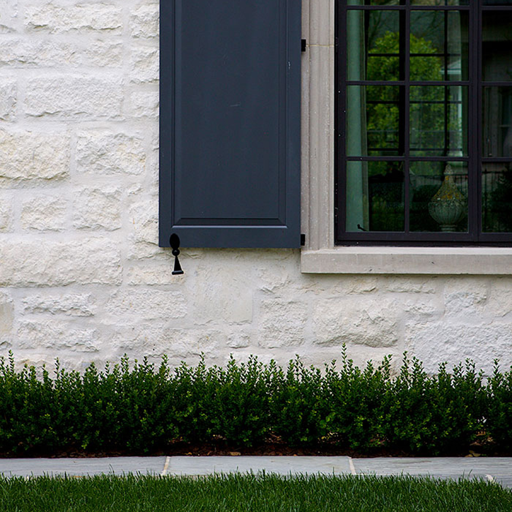 Shutters by the Window