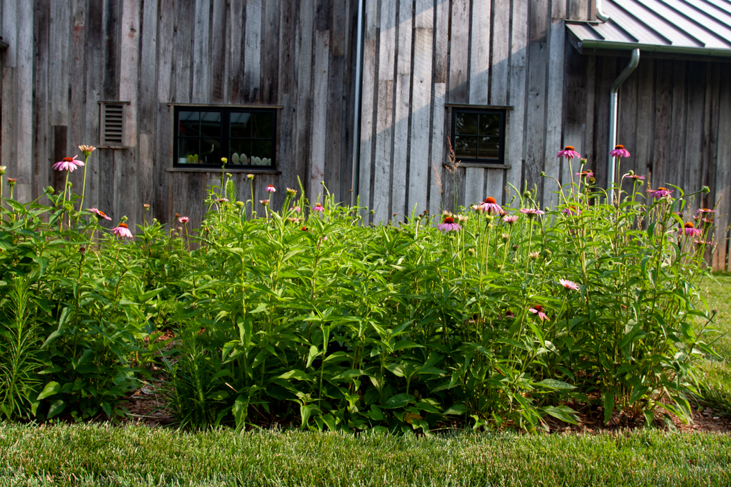 Rustic Retreat